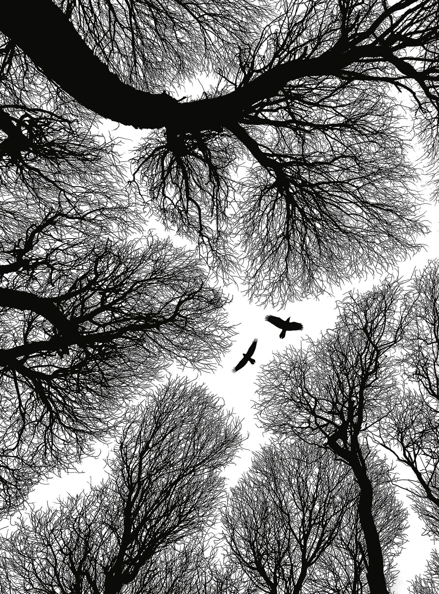 AS Fototapete Designwalls 2.0 Escape DD119154