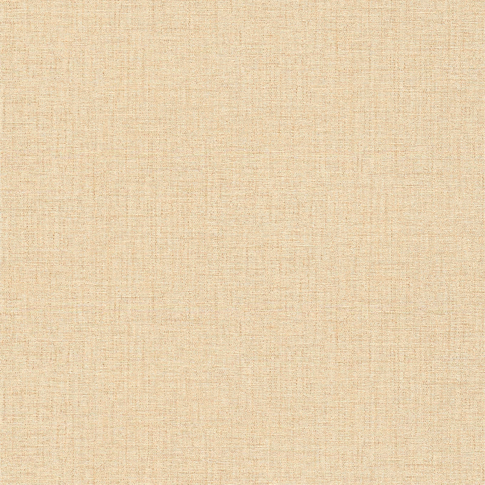 Livingwalls Vliestapete Desert Lodge Uni 385285