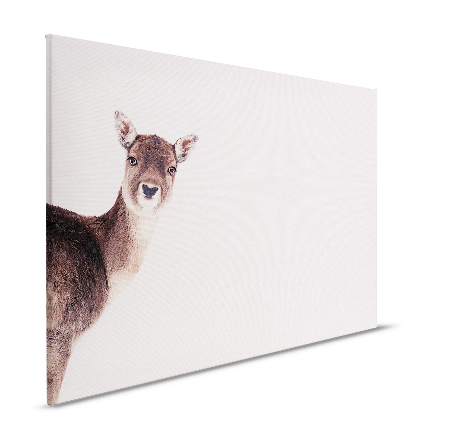 AS Leinwandbild Deer Rose DD132258