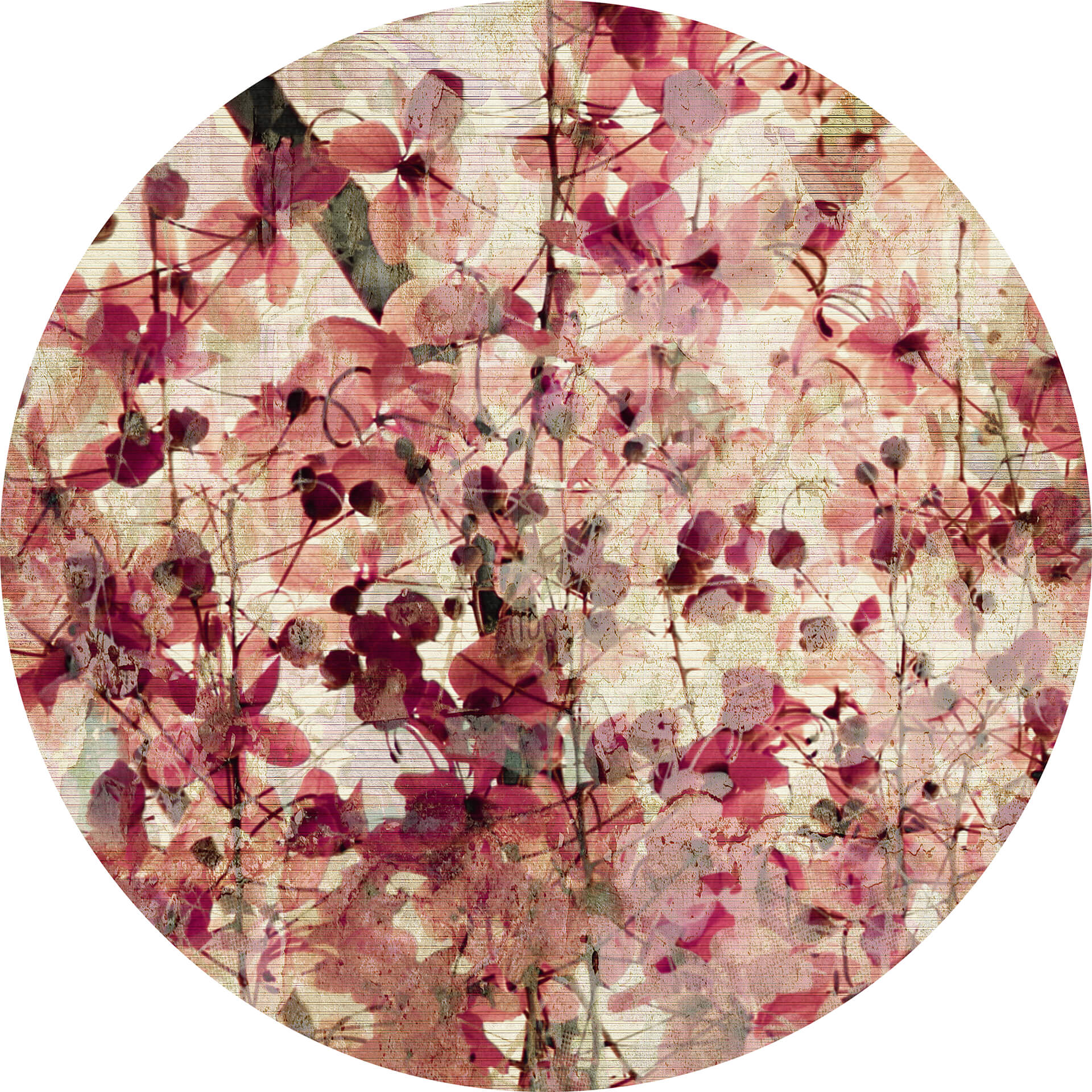 AS Fototapete Designwalls 2.0 Vintage Blumen DD11920