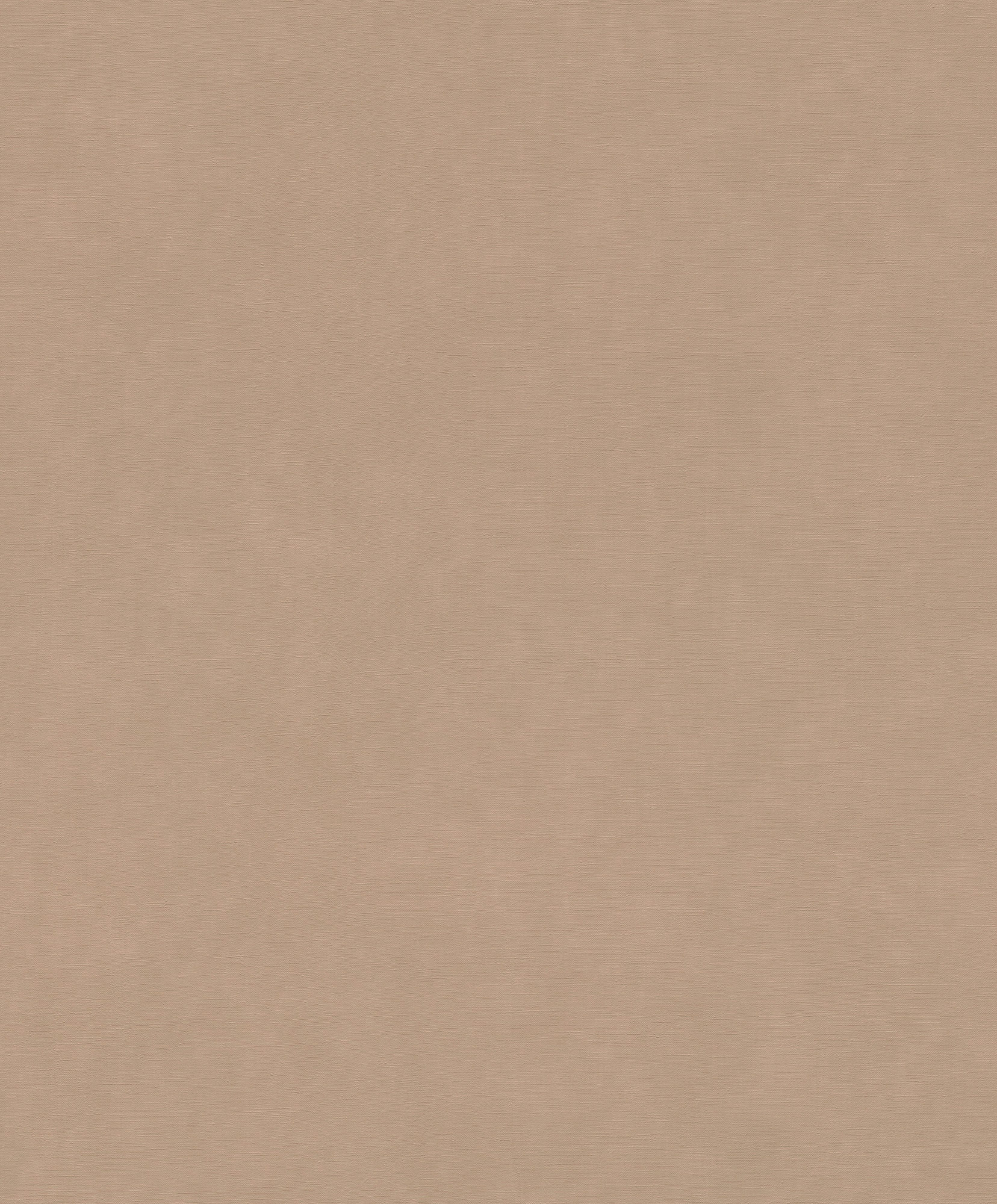 Rasch Vliestapete Paraiso Unitapete 330045