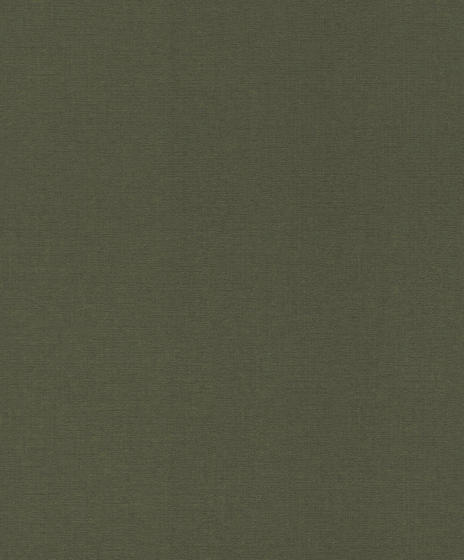 Emil & Hugo Vliestapete Bloomsbury 302249