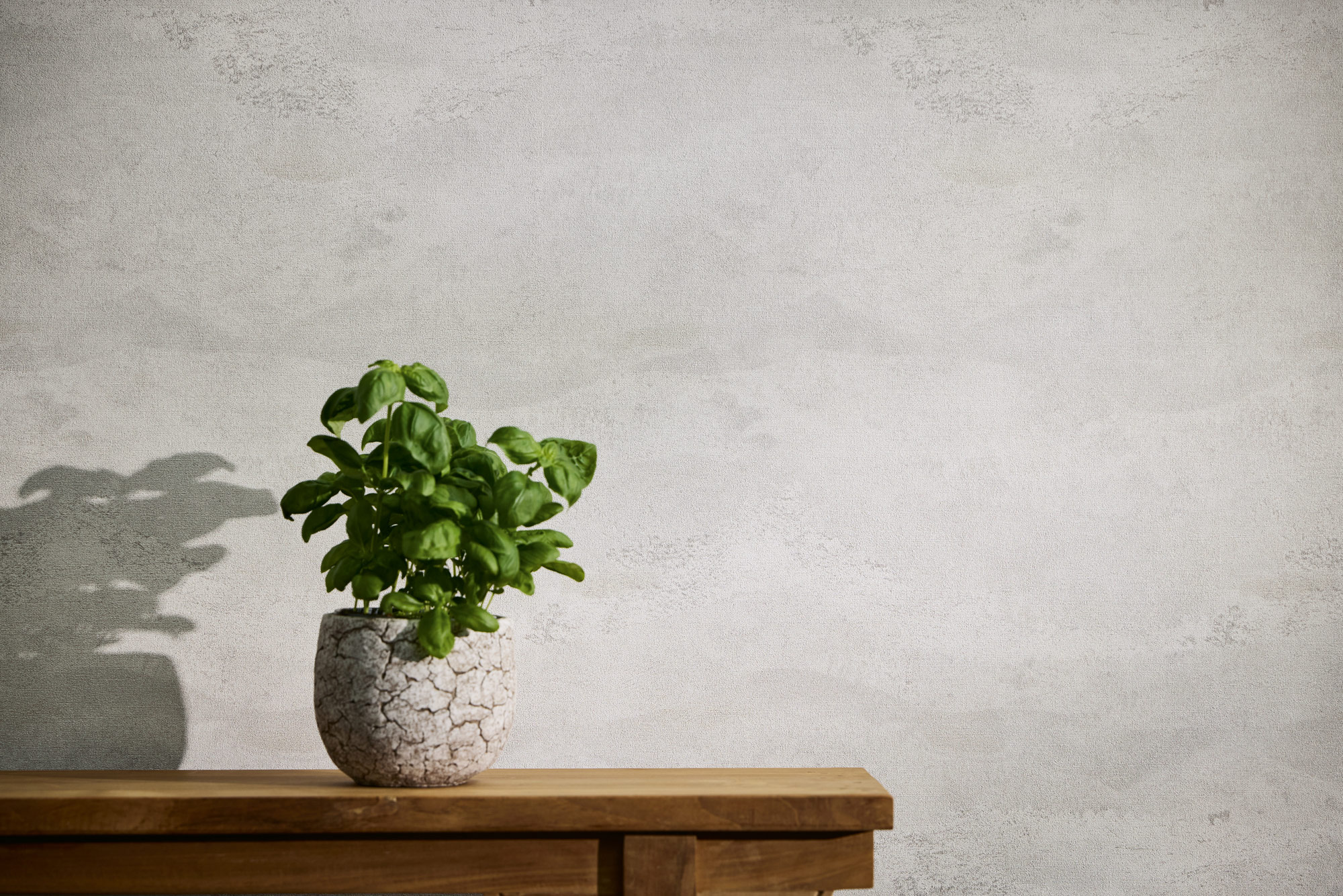 AS Vliestapete MS Hot Spots Abstrakt Weiß 786566