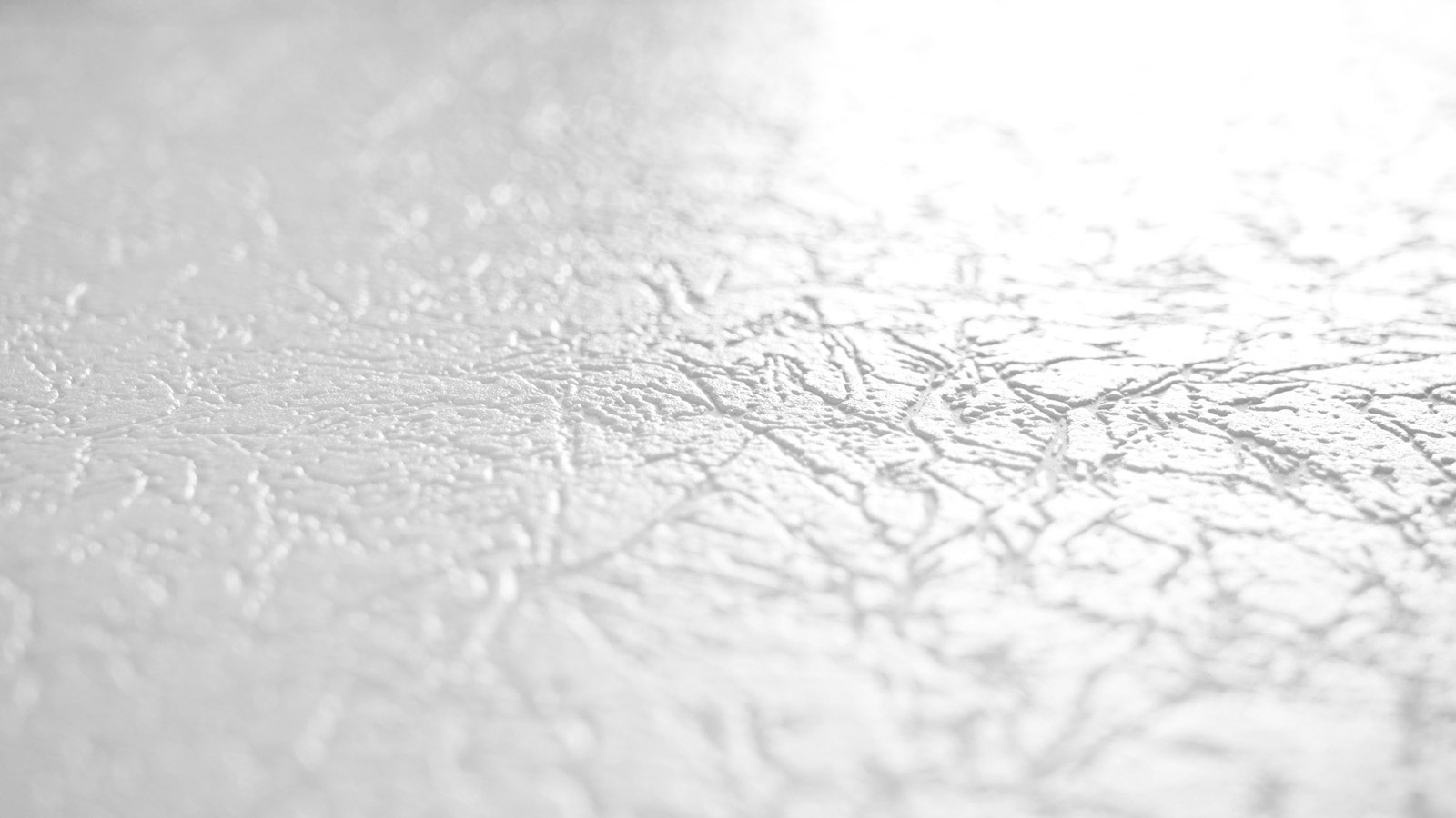 AS Vliestapete Meistervlies 8 überstreichbar 573513