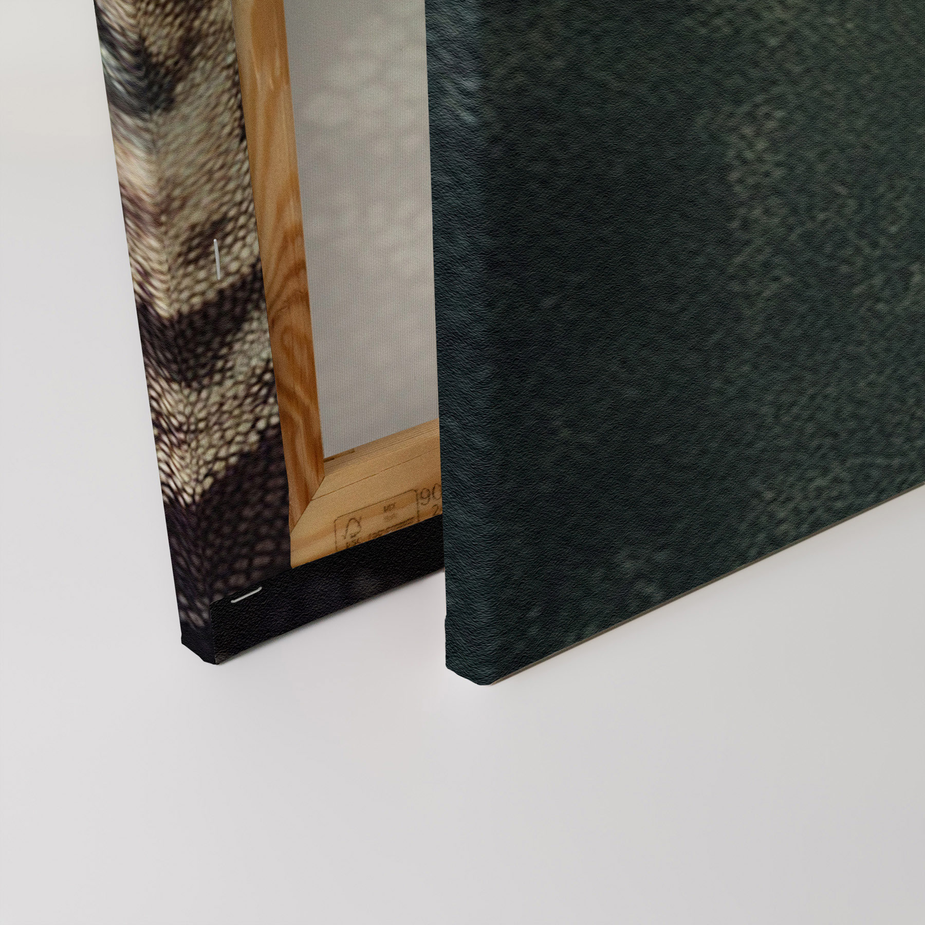 AS Leinwandbild Fancy Lizard DD133354