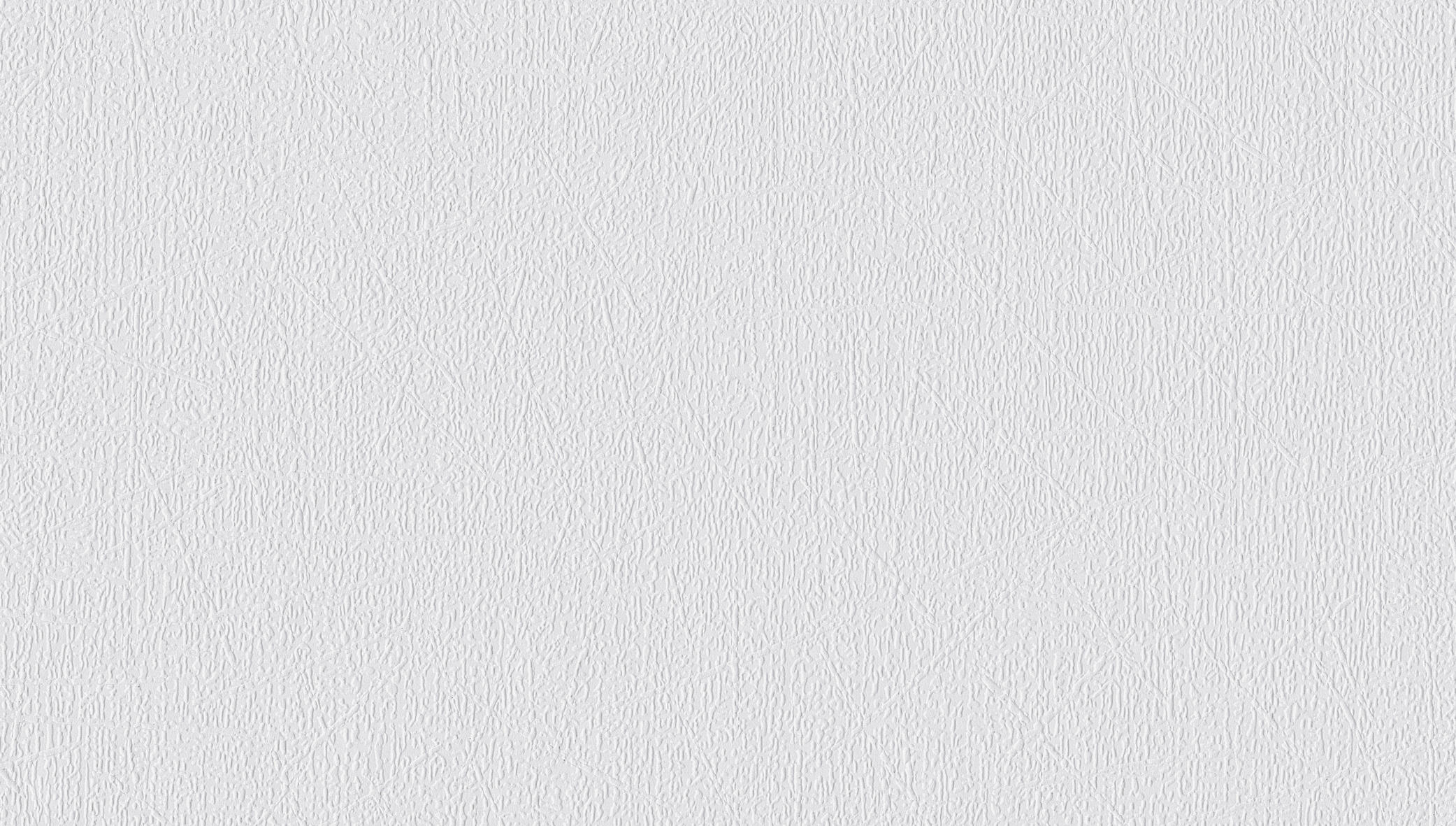 Erfurt Vliesfaser Tapete Protect 214 | Einzelrolle