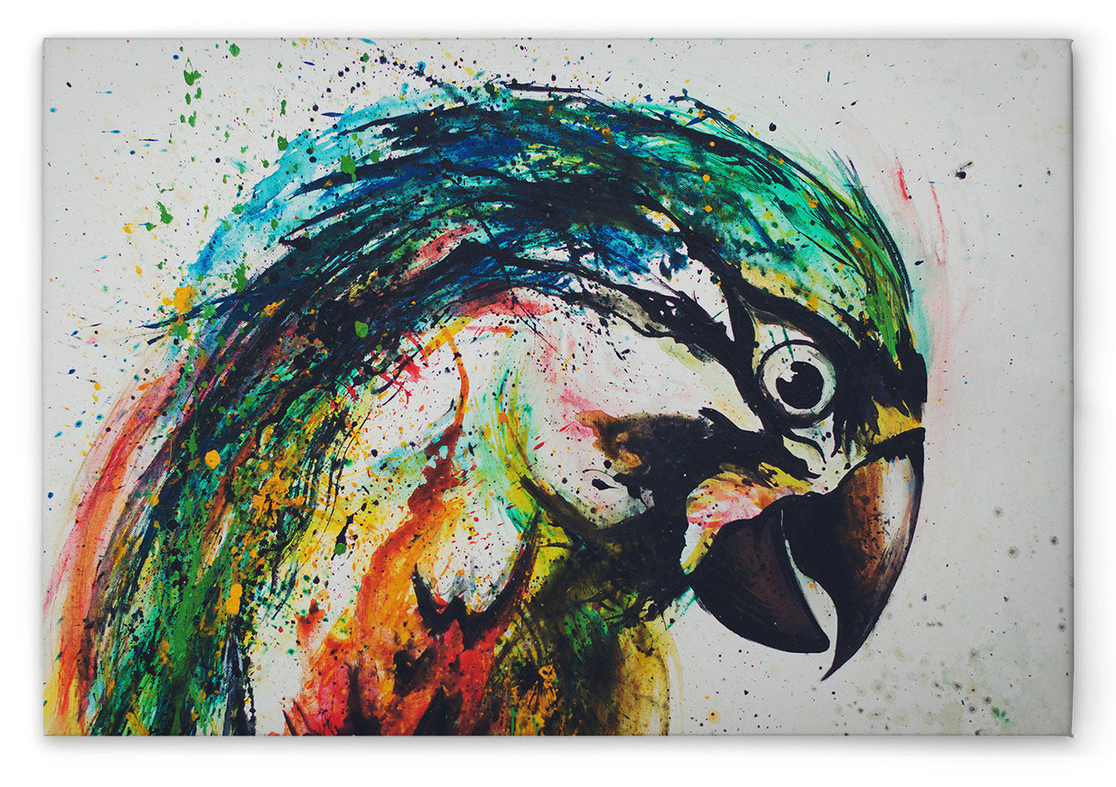 AS Leinwandbild Parrot DD132313