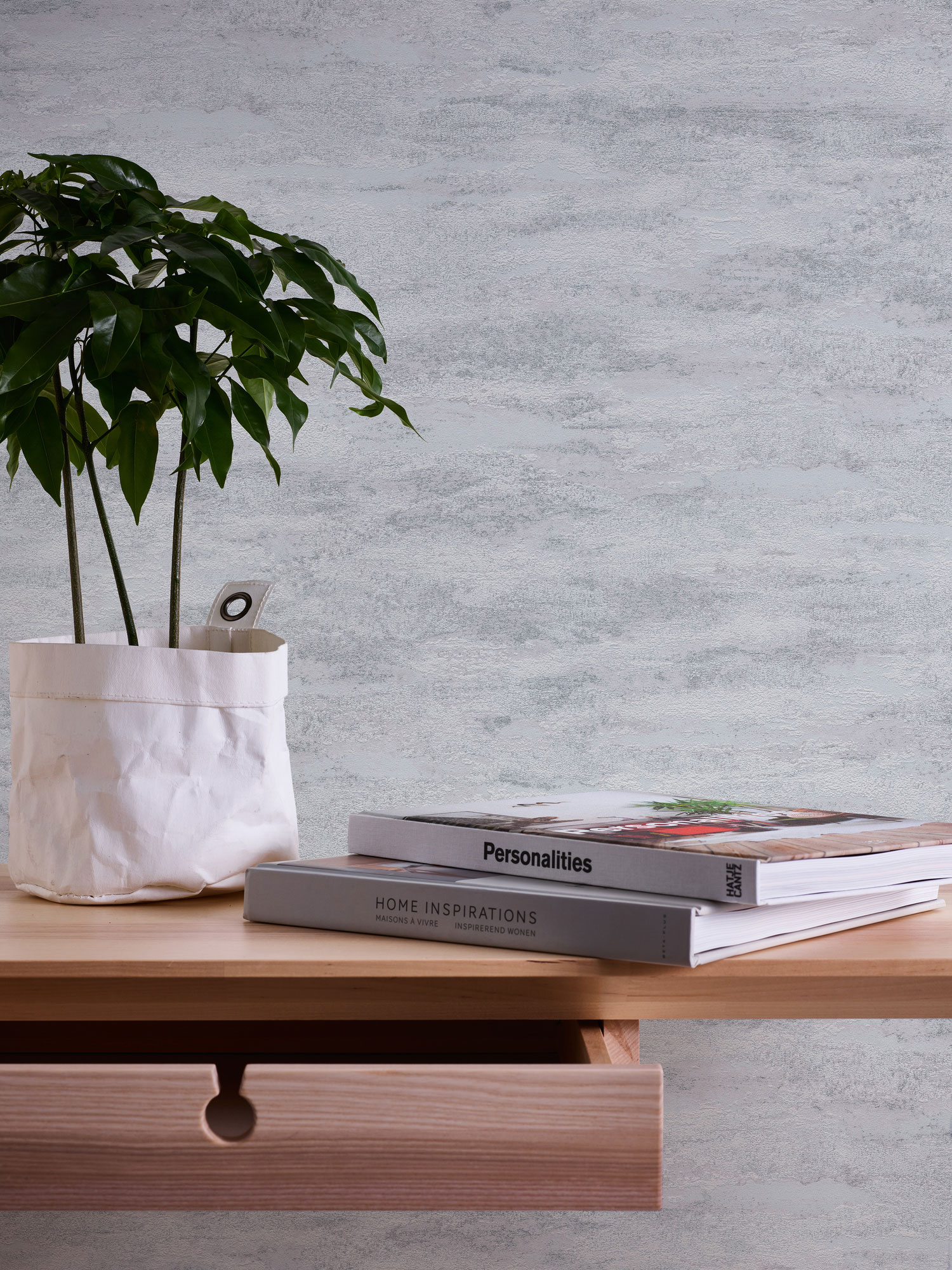 AS Vliestapete Attractive 2 Putzoptik Grau 390413