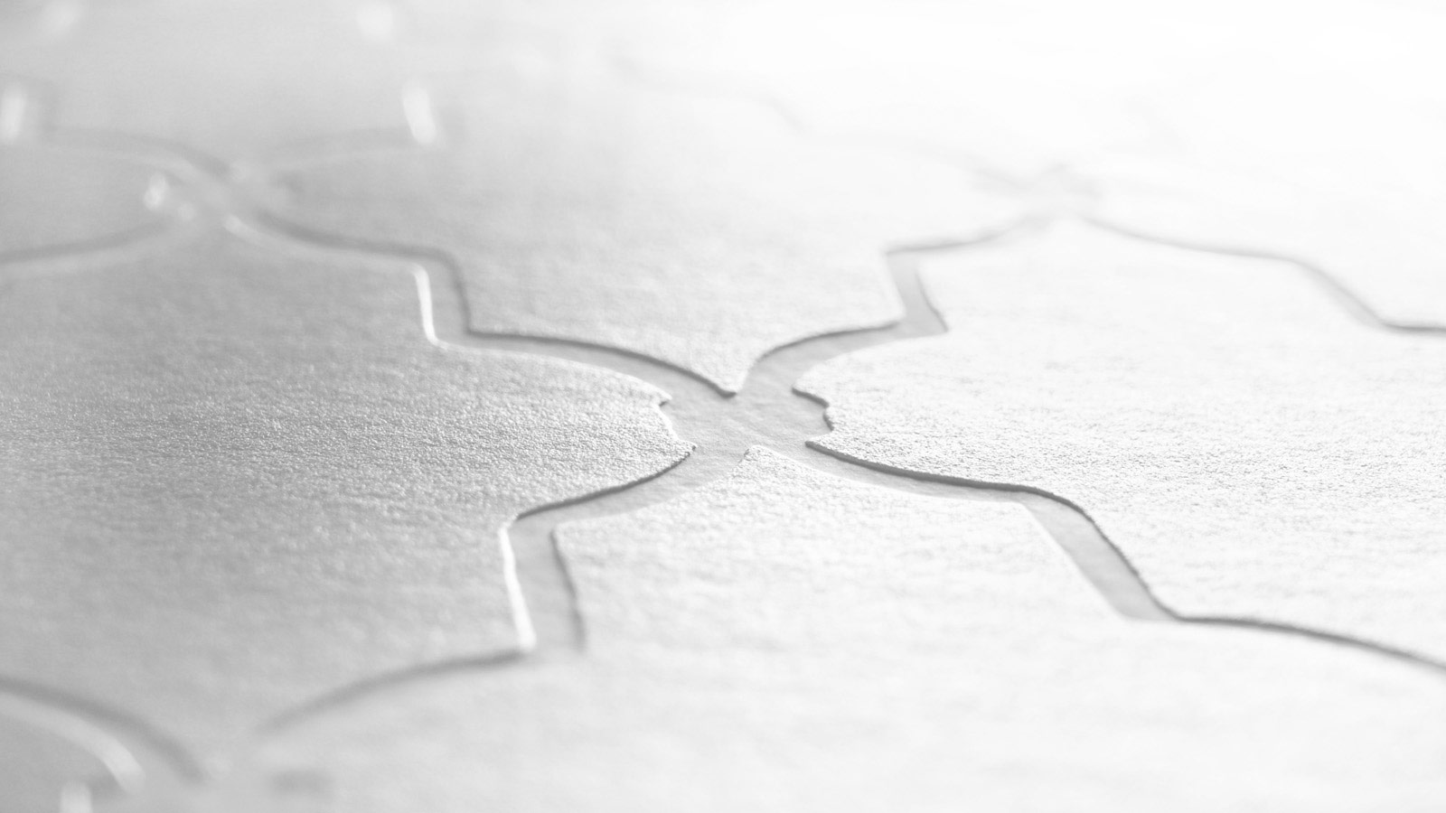 AS Vliestapete Meistervlies 8 überstreichbar 384571