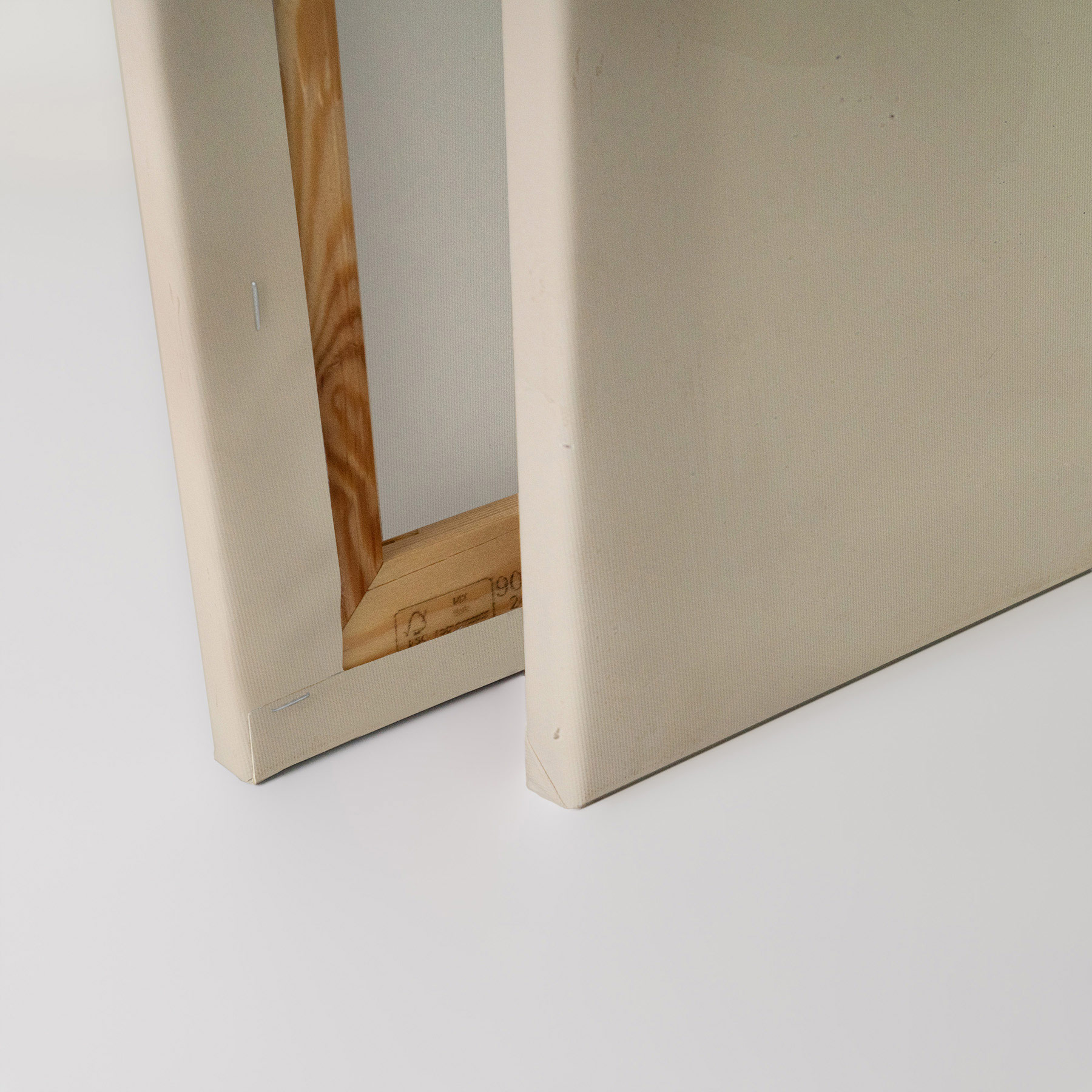 AS Leinwandbild Koriander DD132939